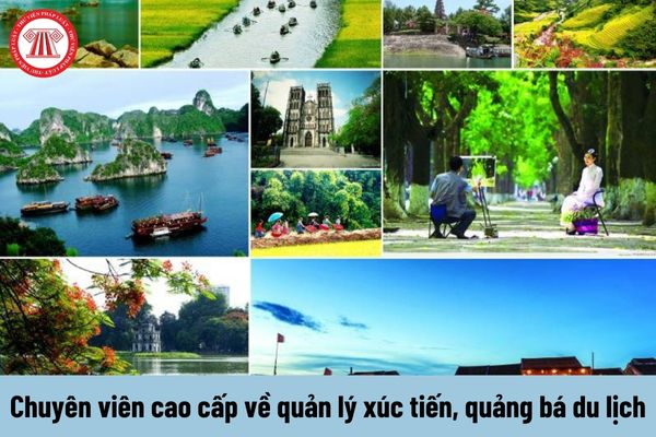 Chuyên gia Hotspot Matrix phân tích: